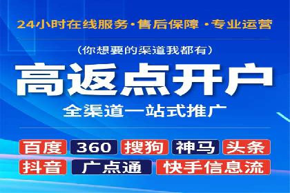 关键词竞价排名策略：成功企业的案例分析